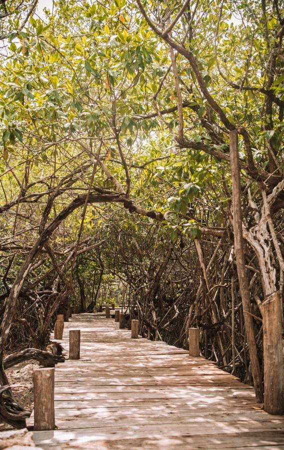 מלון Uman Glamping & Cenote טולום מראה חיצוני תמונה