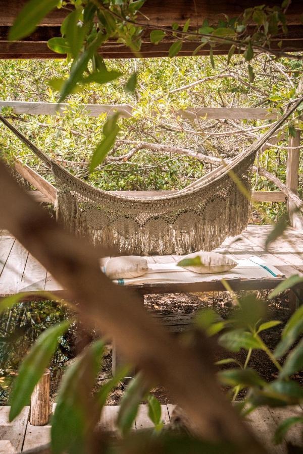 מלון Uman Glamping & Cenote טולום מראה חיצוני תמונה