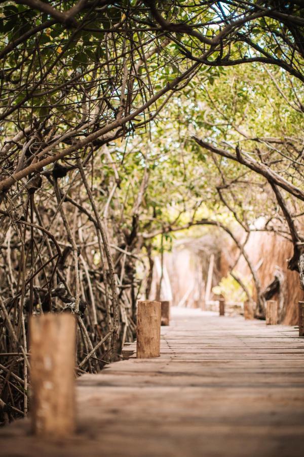 מלון Uman Glamping & Cenote טולום מראה חיצוני תמונה